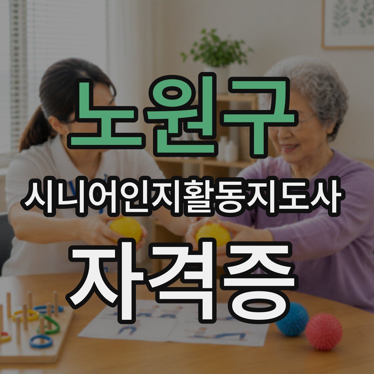 노원구 시니어인지활동지도사 자격증