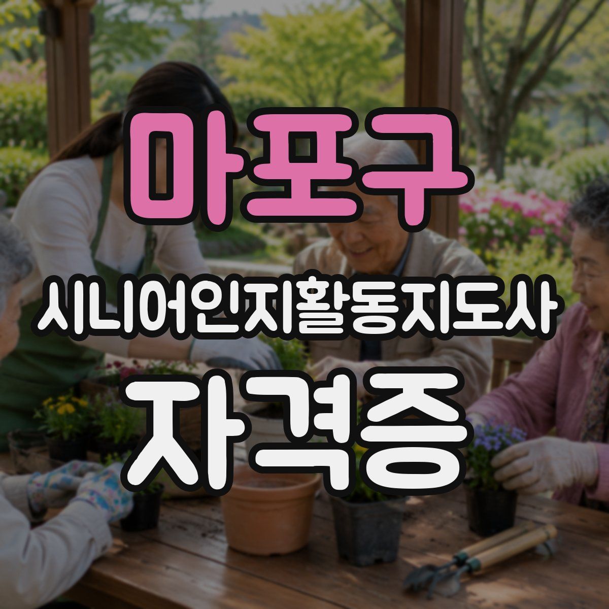 마포구 시니어인지활동지도사 자격증