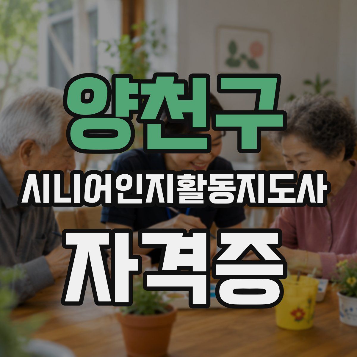 양천구 시니어인지활동지도사 자격증