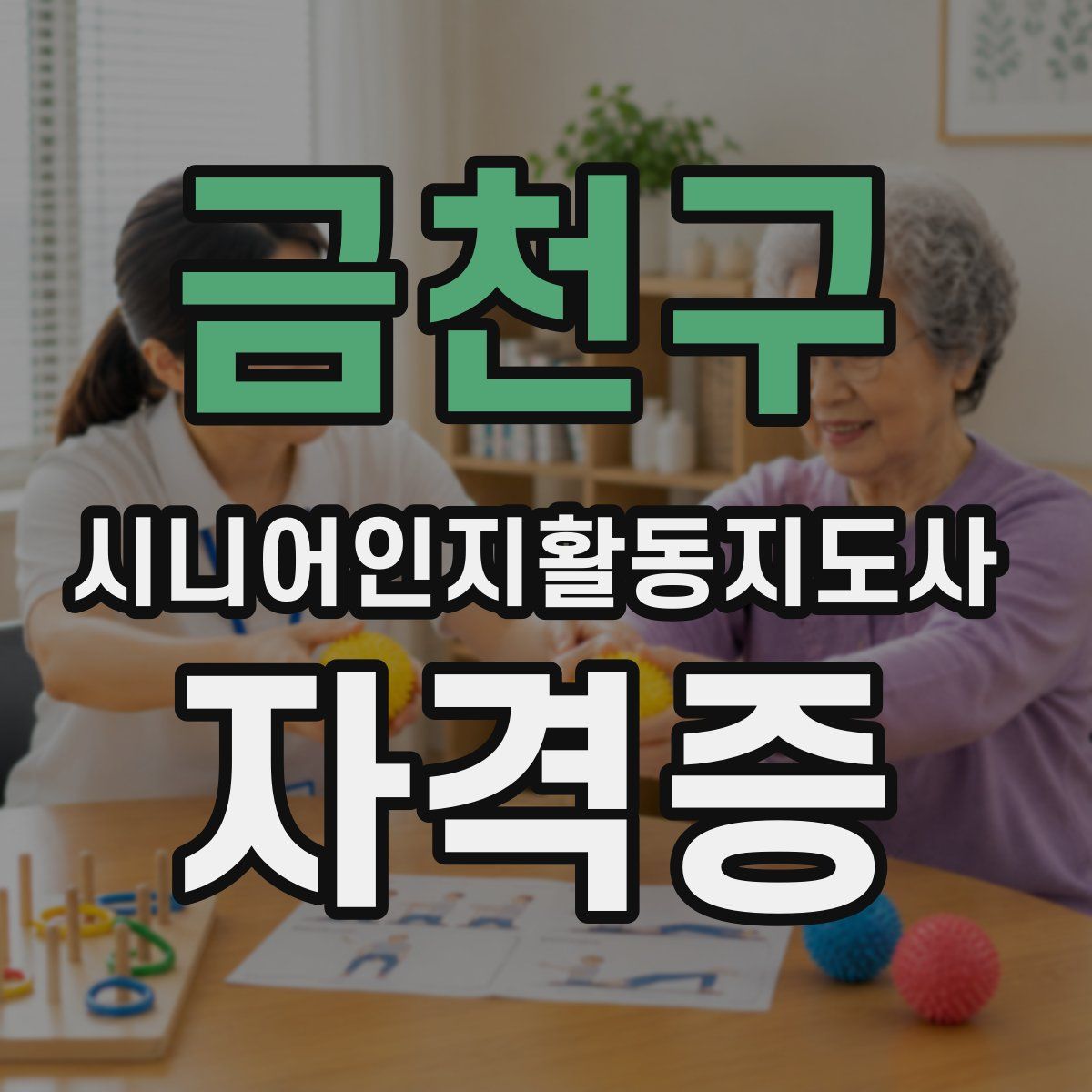 금천구 시니어인지활동지도사 자격증
