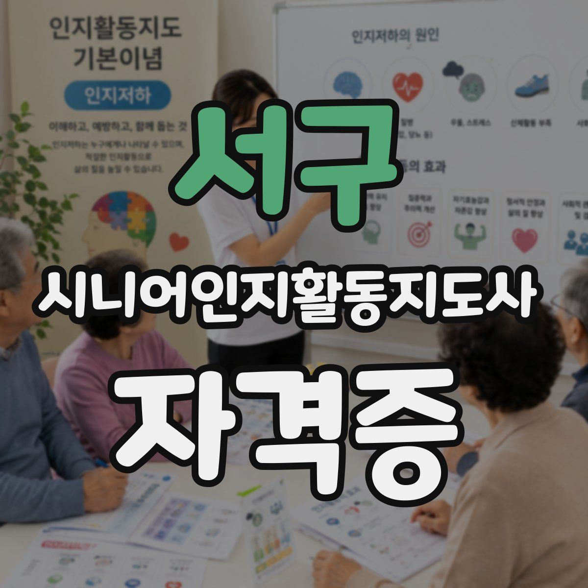서구 시니어인지활동지도사 자격증