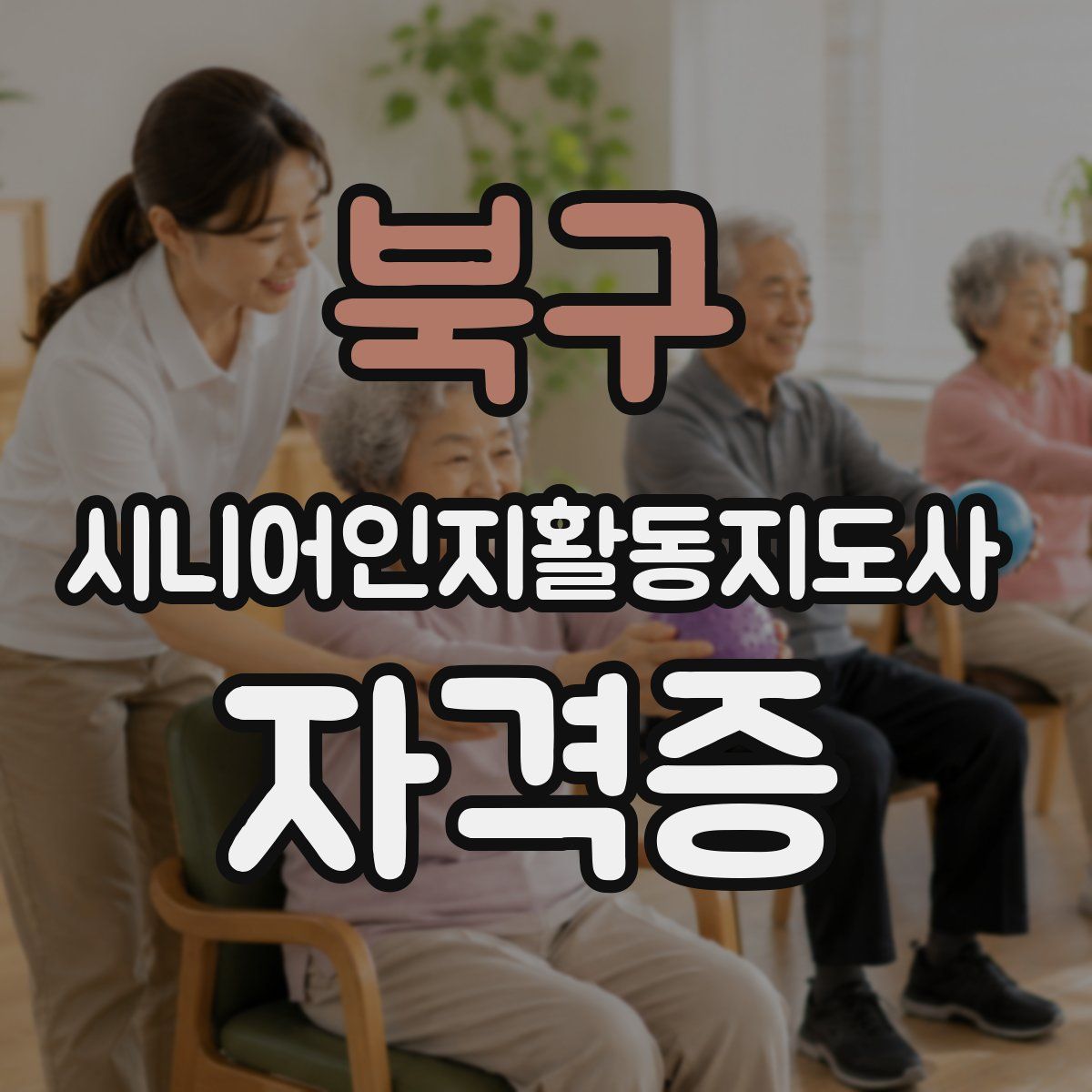 북구 시니어인지활동지도사 자격증