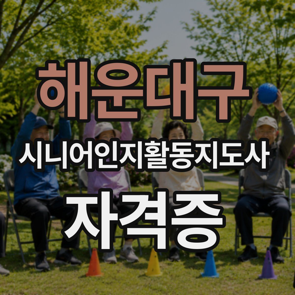 해운대구 시니어인지활동지도사 자격증