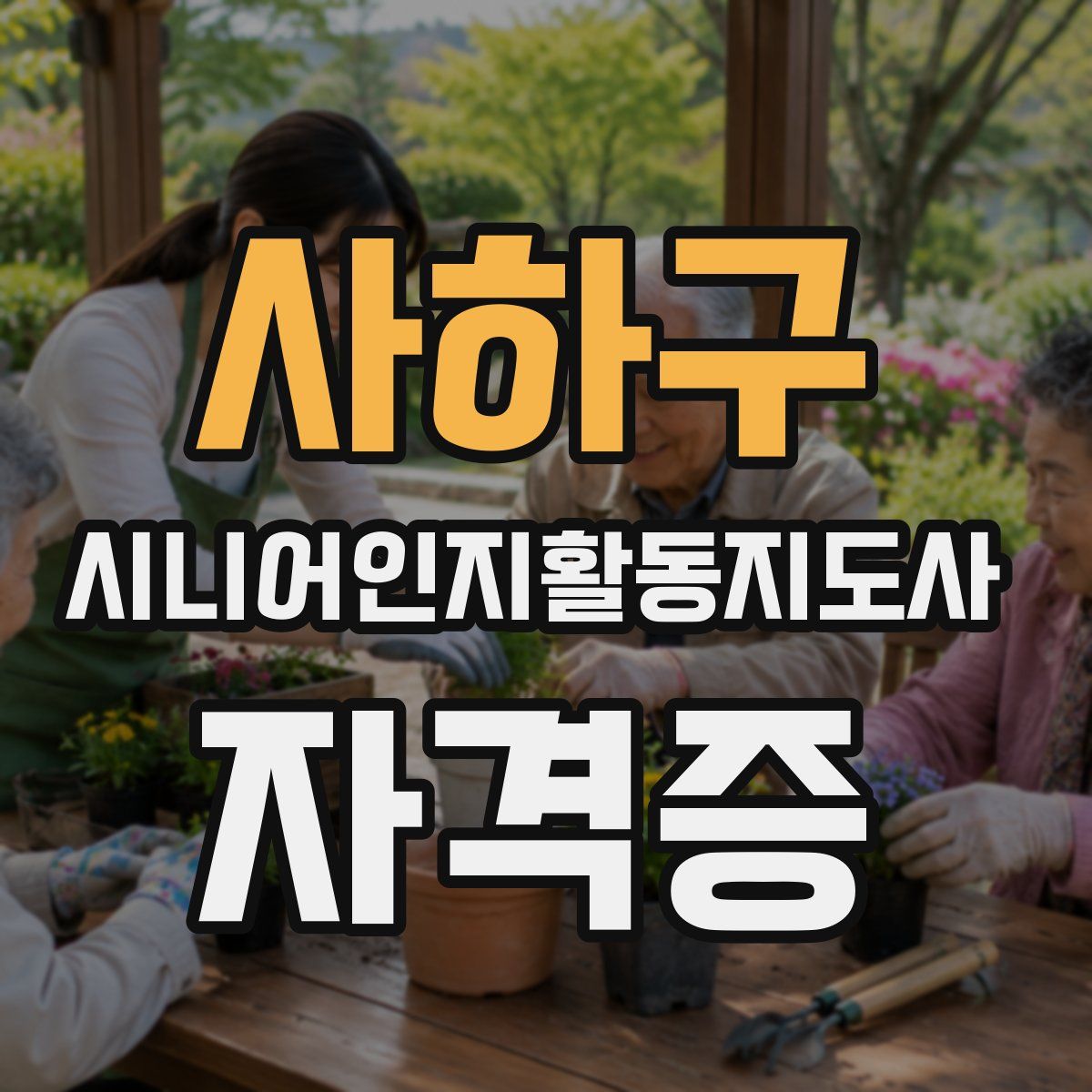 사하구 시니어인지활동지도사 자격증