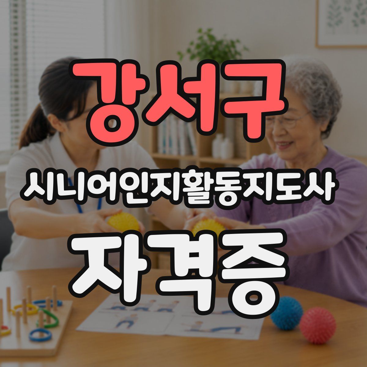 강서구 시니어인지활동지도사 자격증