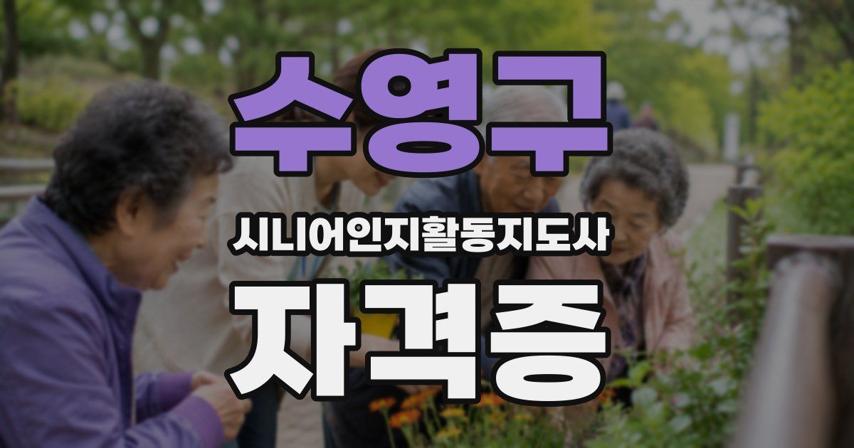 수영구 시니어인지활동지도사 자격증