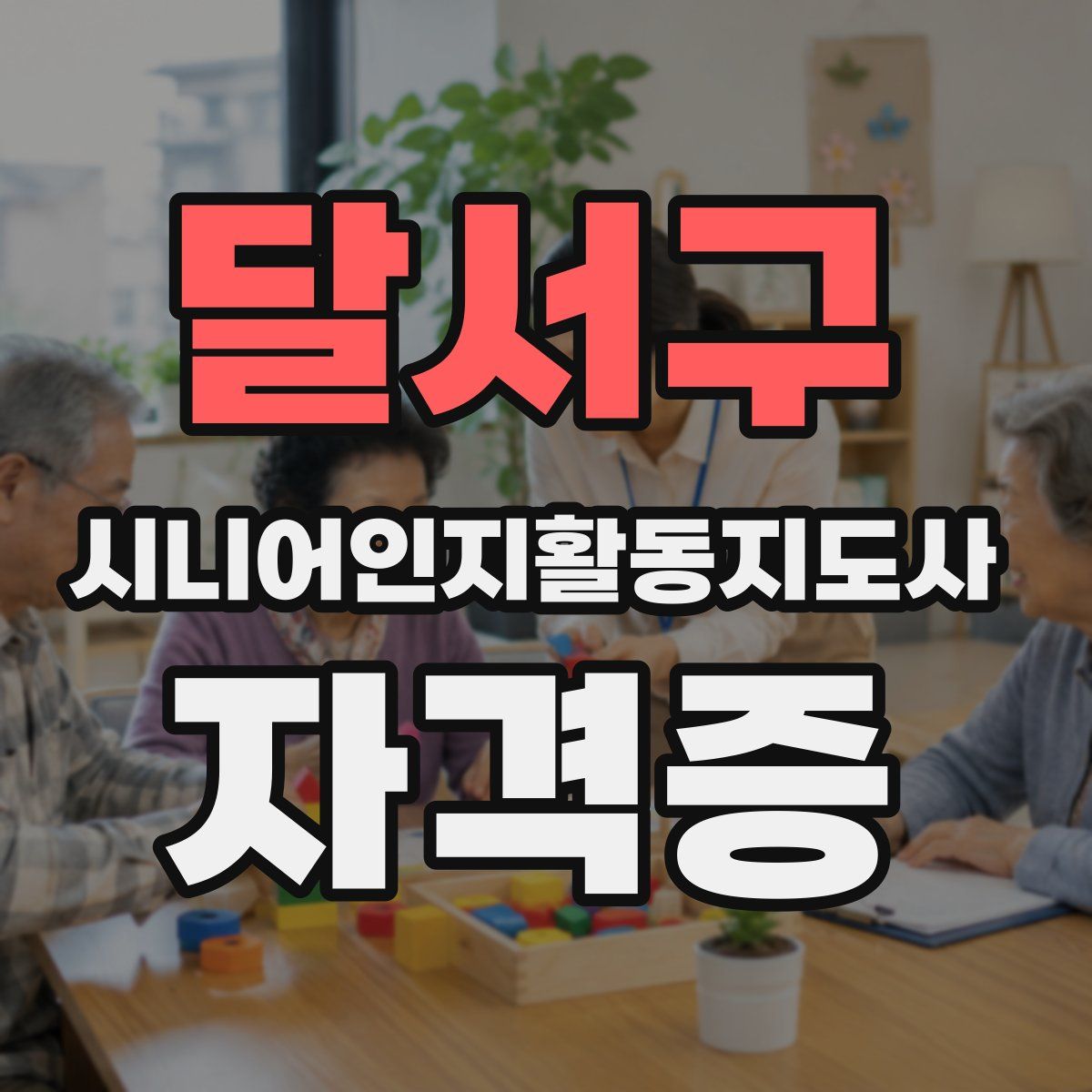 달서구 시니어인지활동지도사 자격증