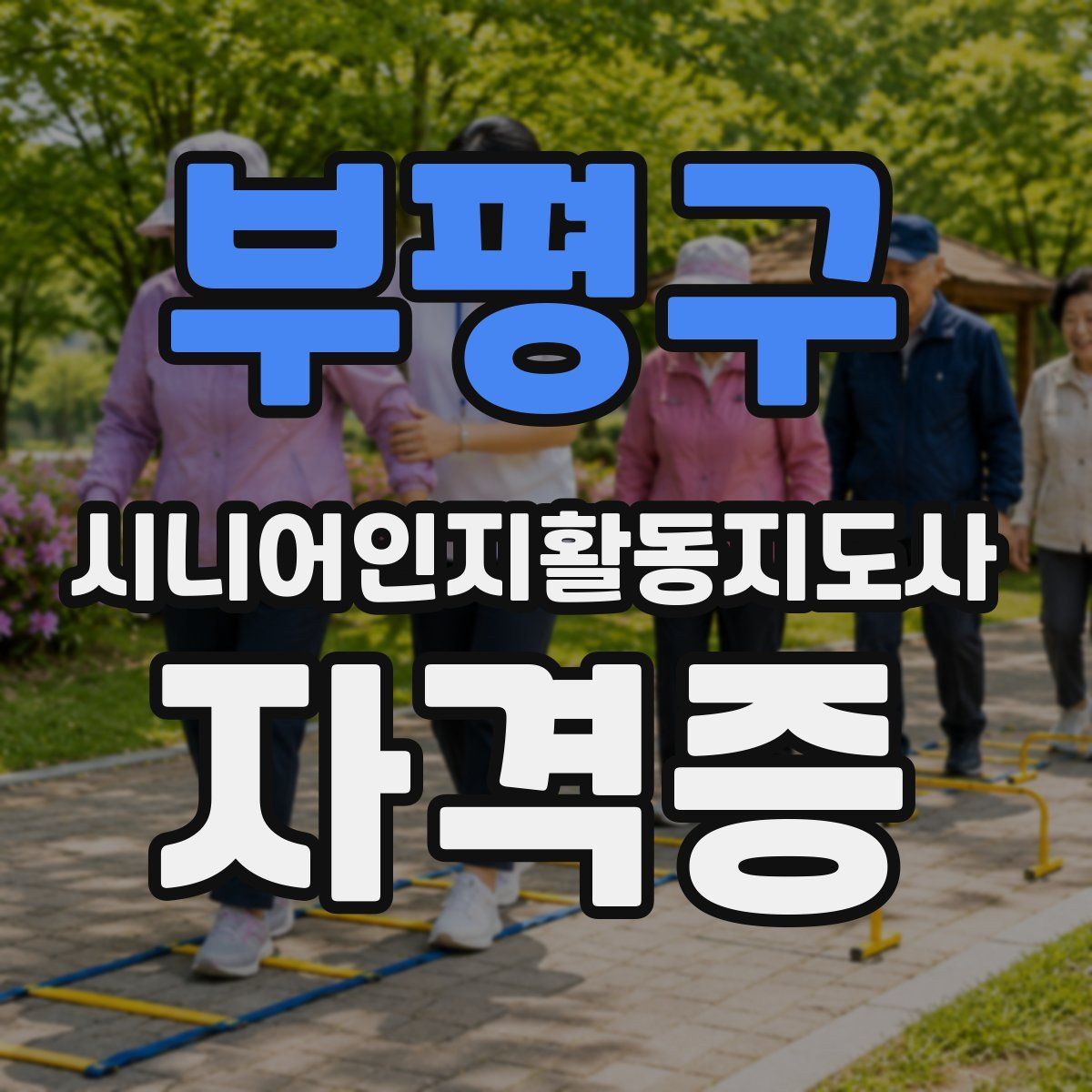 부평구 시니어인지활동지도사 자격증