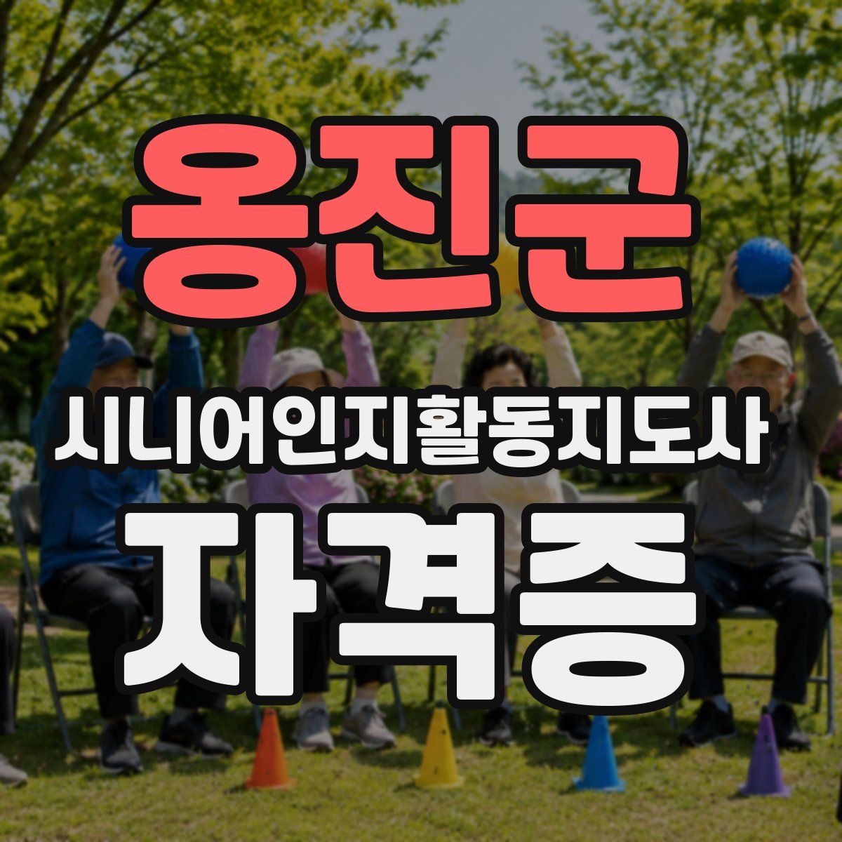 옹진군 시니어인지활동지도사 자격증