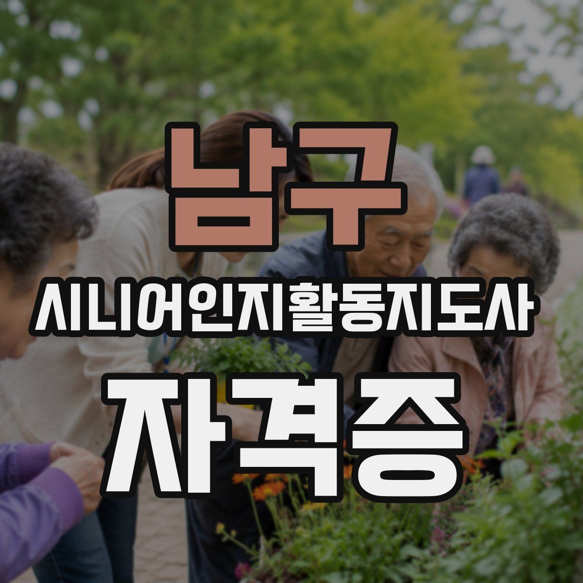 남구 시니어인지활동지도사 자격증