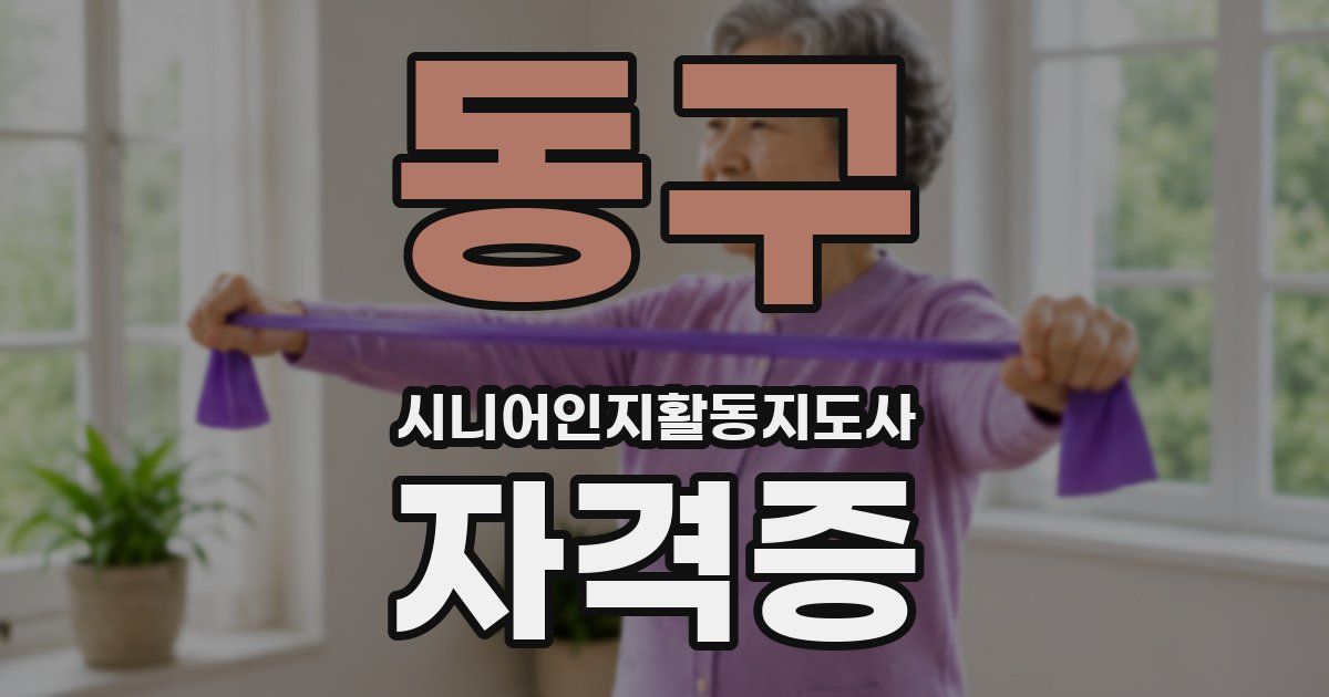 동구 시니어인지활동지도사 자격증
