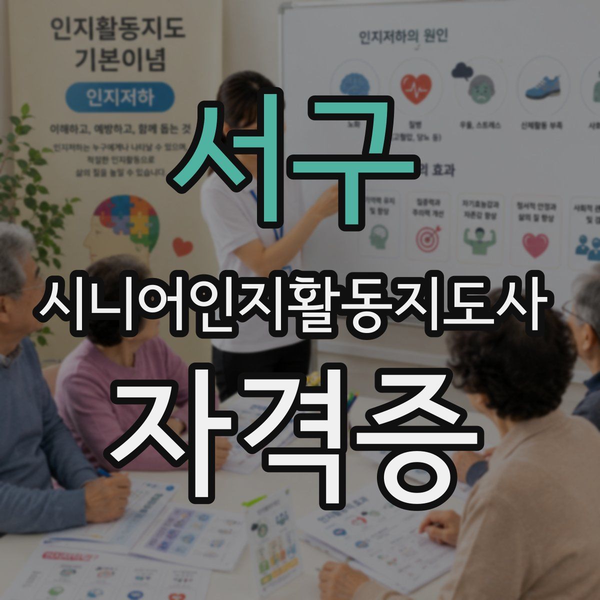 서구 시니어인지활동지도사 자격증
