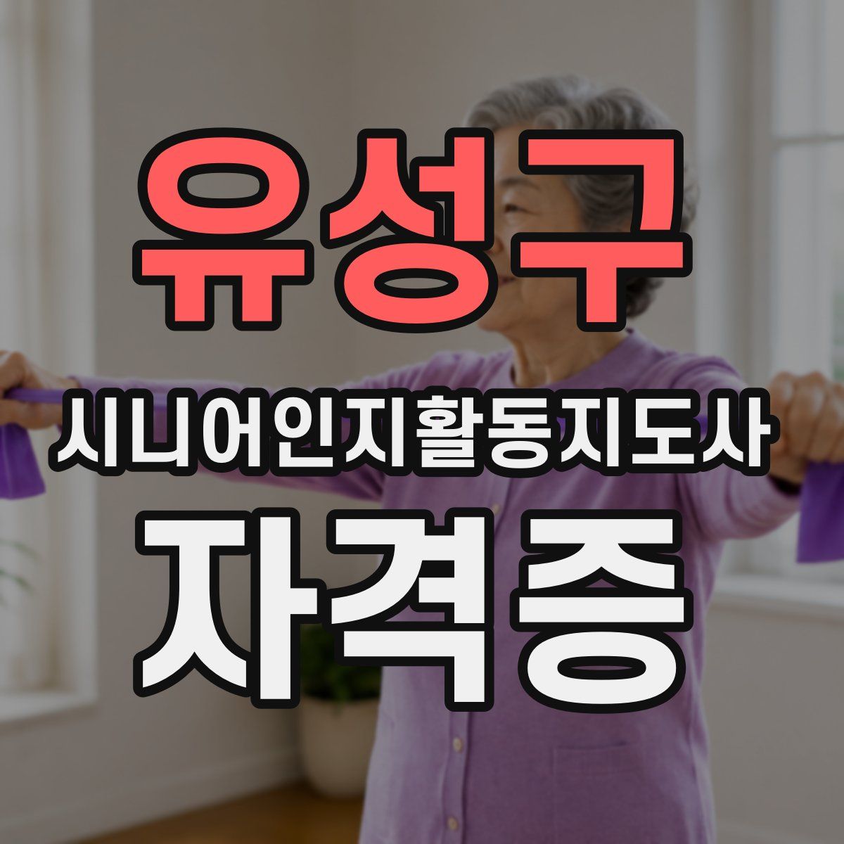 유성구 시니어인지활동지도사 자격증