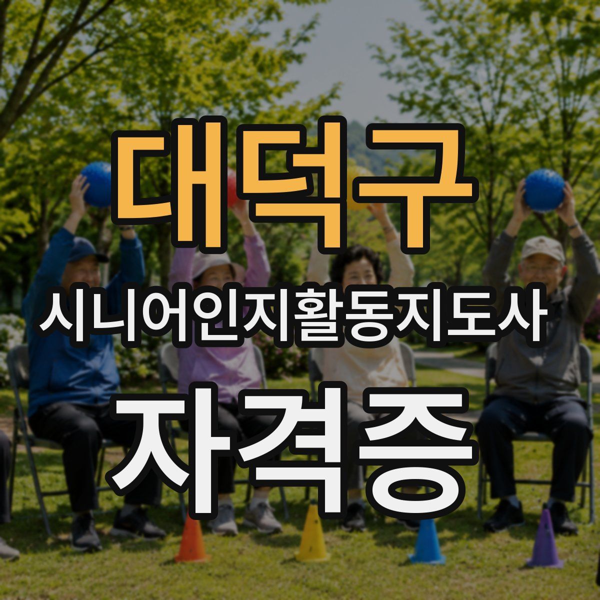 대덕구 시니어인지활동지도사 자격증