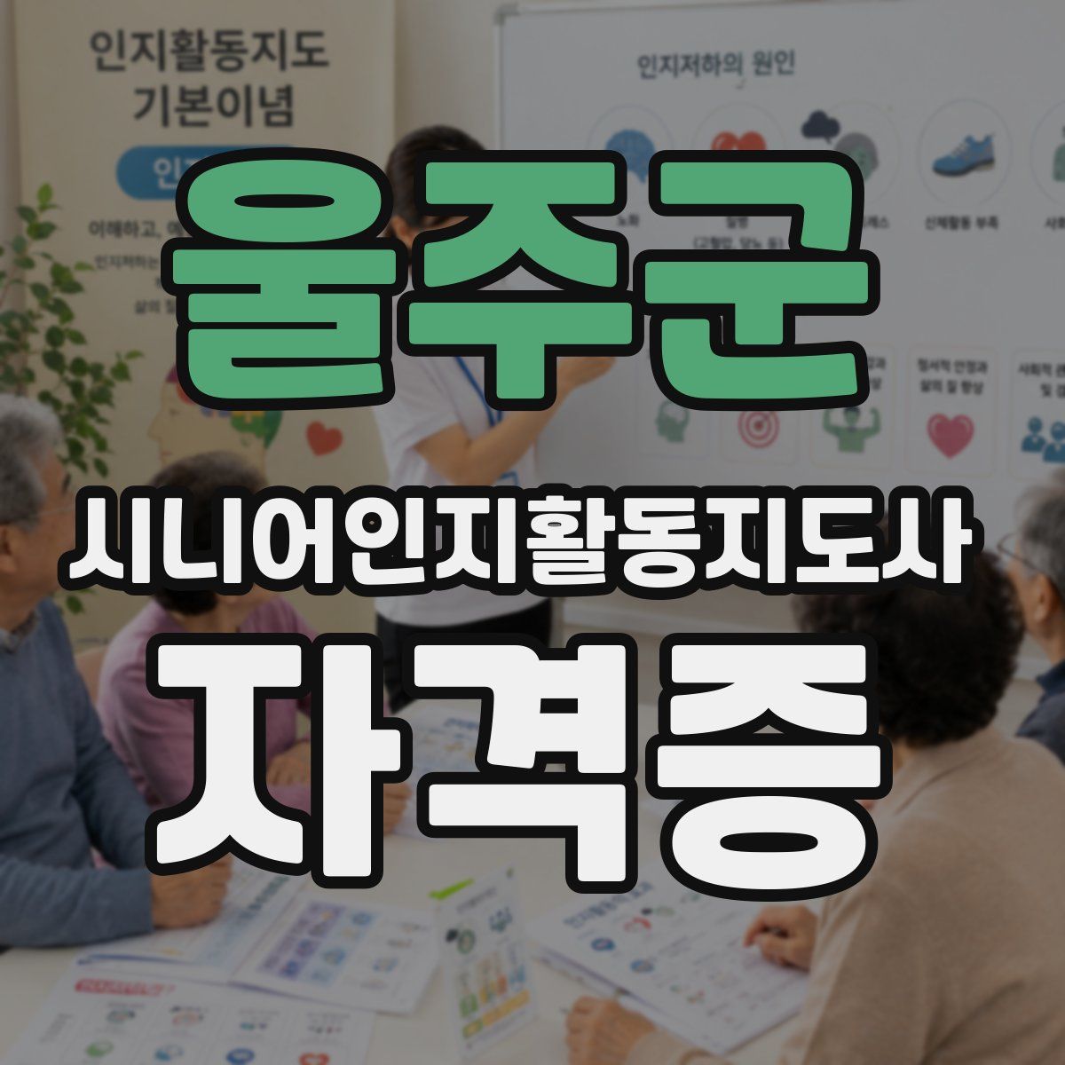 울주군 시니어인지활동지도사 자격증