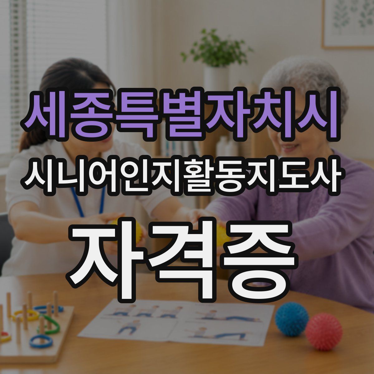 세종특별자치시 시니어인지활동지도사 자격증
