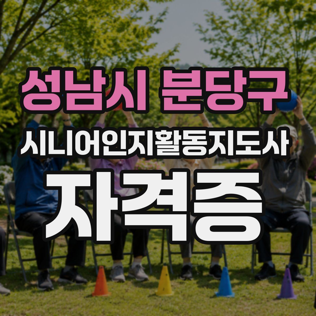 성남시 분당구 시니어인지활동지도사 자격증