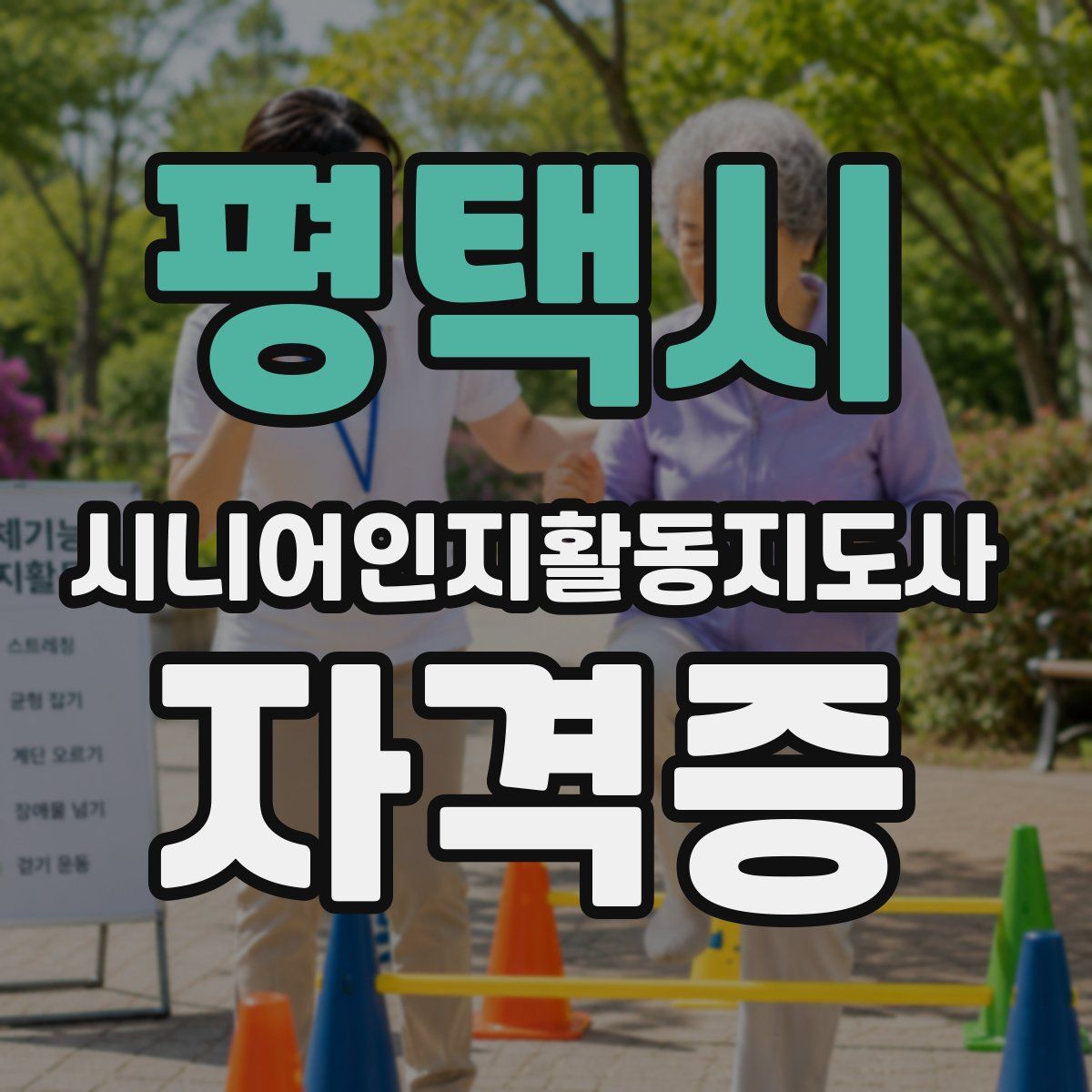 평택시 시니어인지활동지도사 자격증