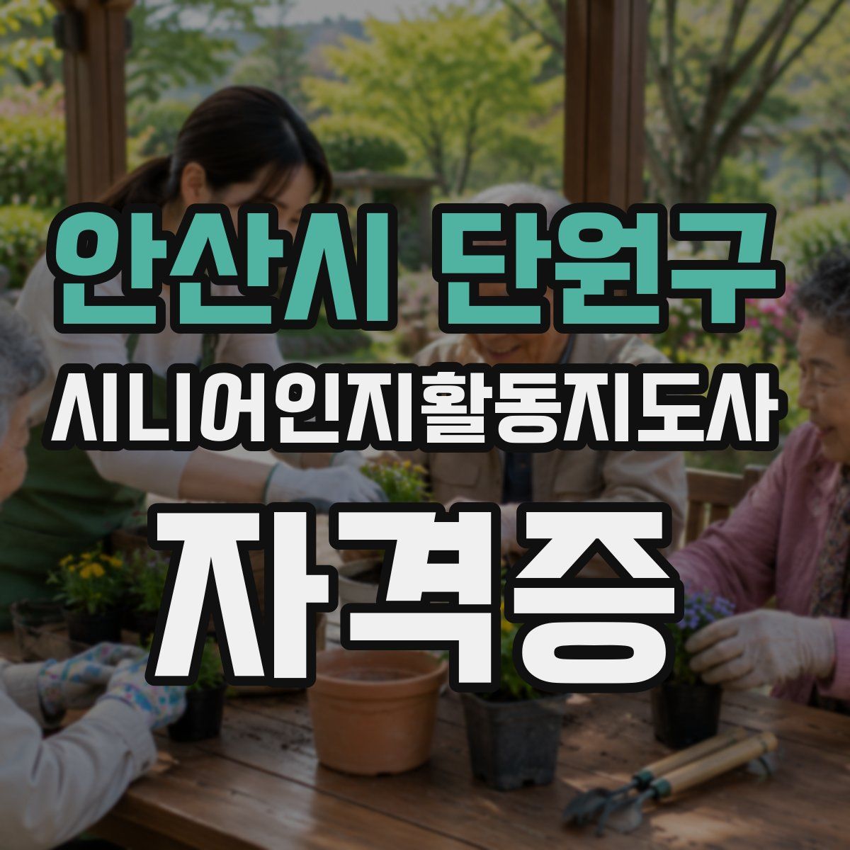 안산시 단원구 시니어인지활동지도사 자격증
