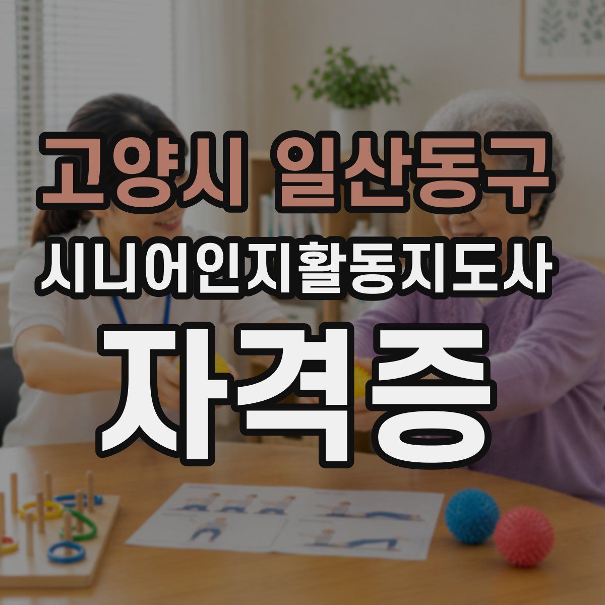 고양시 일산동구 시니어인지활동지도사 자격증