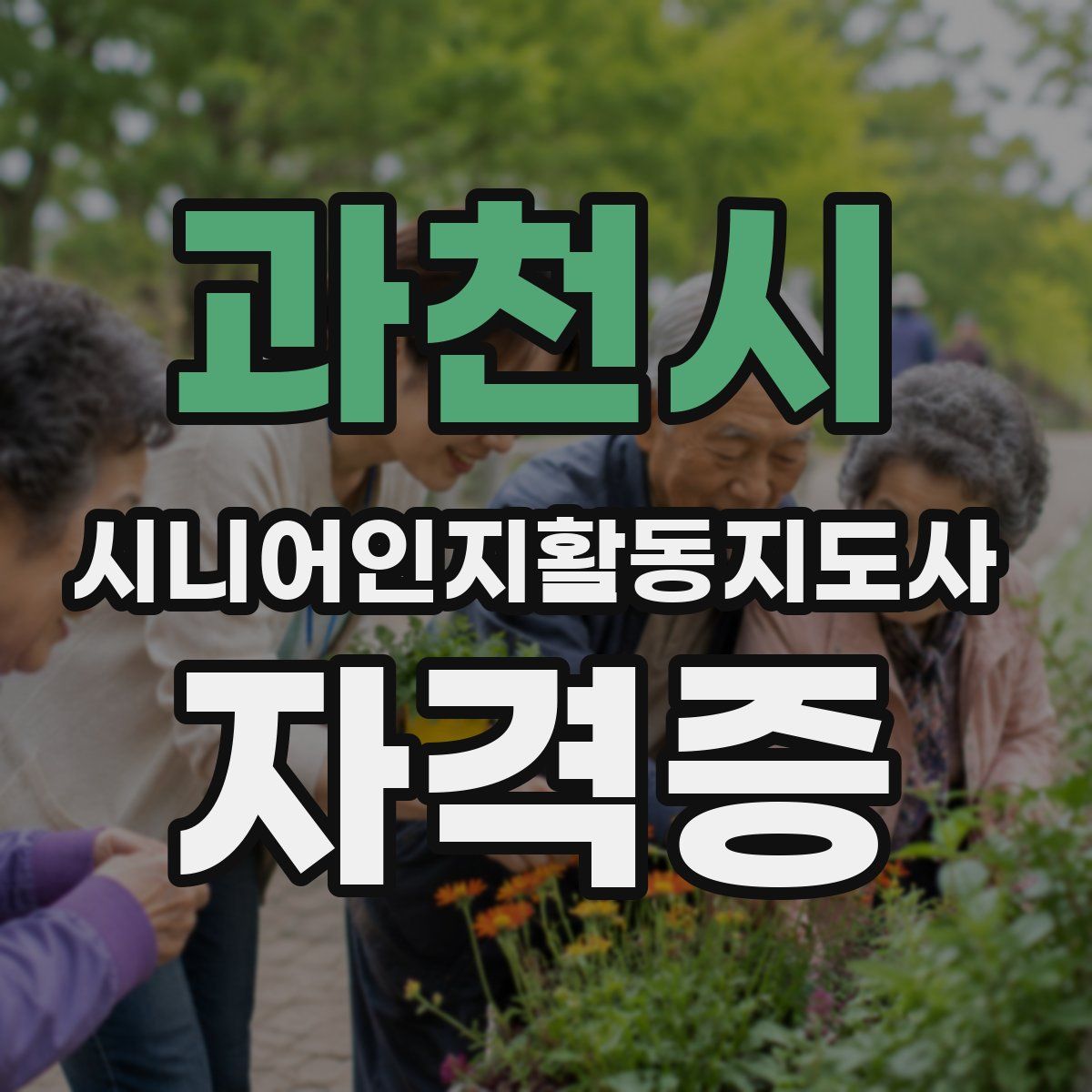 과천시 시니어인지활동지도사 자격증