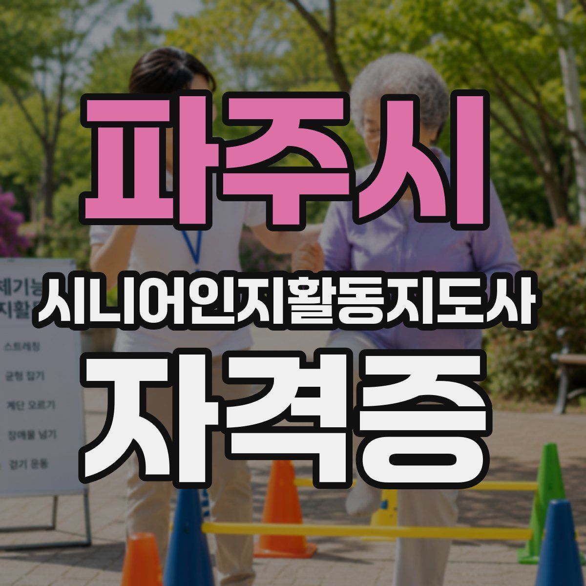 파주시 시니어인지활동지도사 자격증