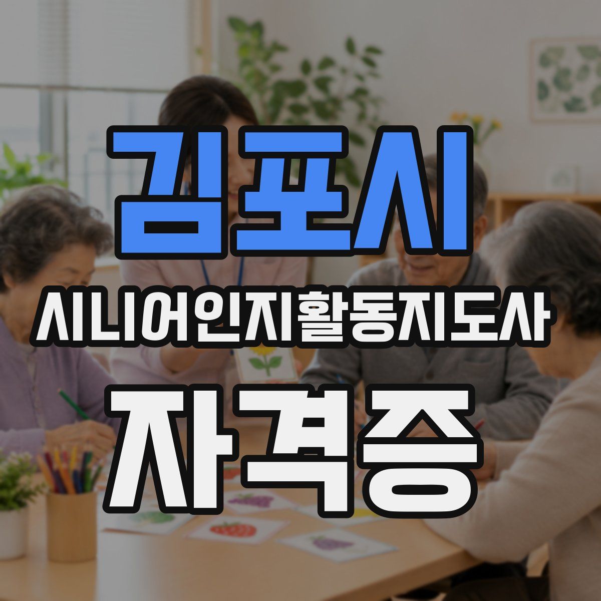 김포시 시니어인지활동지도사 자격증