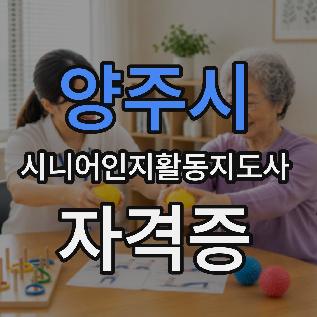 양주시 시니어인지활동지도사 자격증