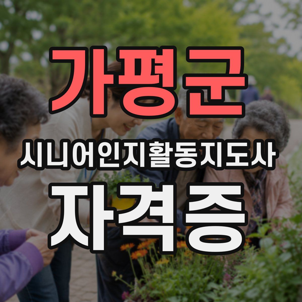 가평군 시니어인지활동지도사 자격증