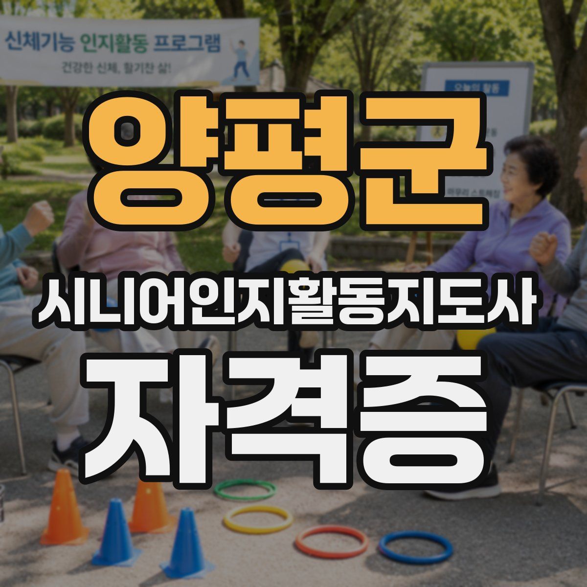 양평군 시니어인지활동지도사 자격증