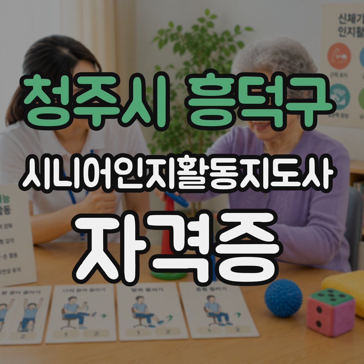 청주시 흥덕구 시니어인지활동지도사 자격증