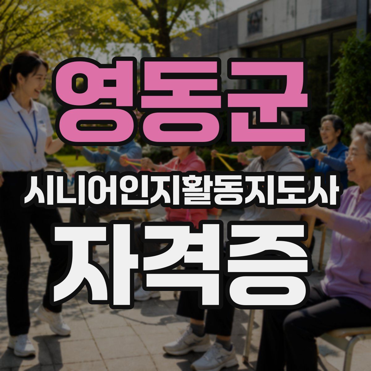 영동군 시니어인지활동지도사 자격증