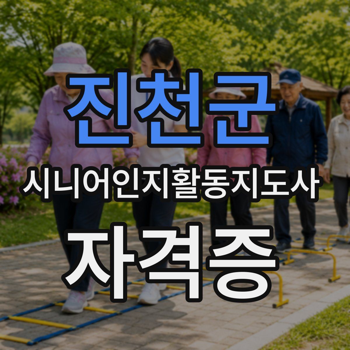 진천군 시니어인지활동지도사 자격증