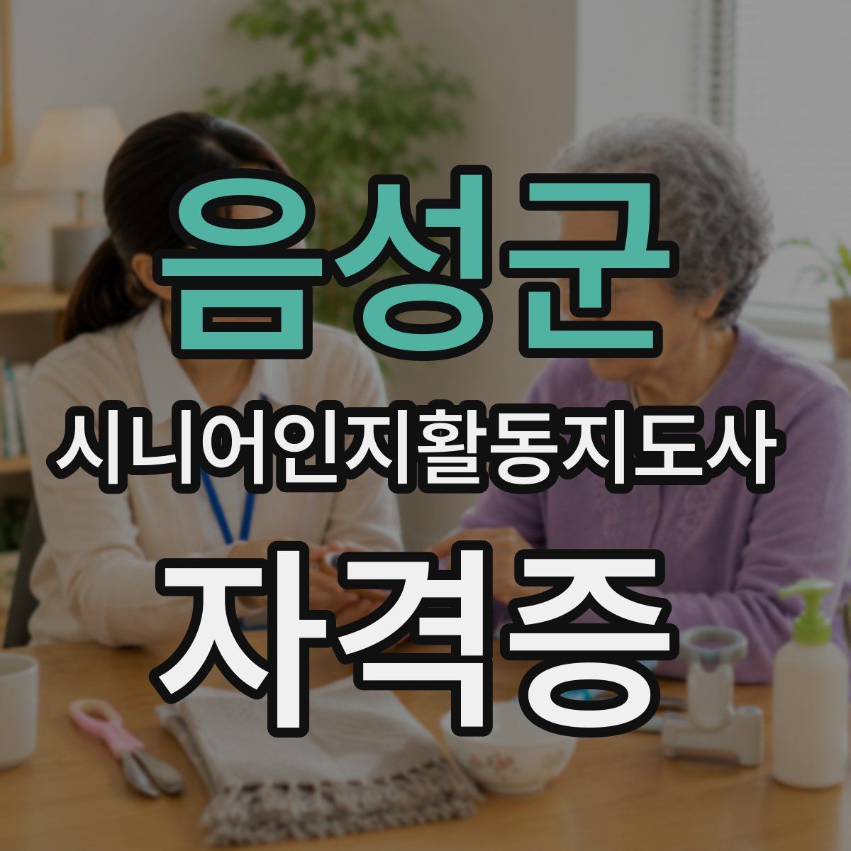 음성군 시니어인지활동지도사 자격증