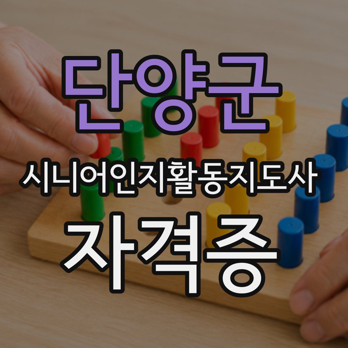 단양군 시니어인지활동지도사 자격증