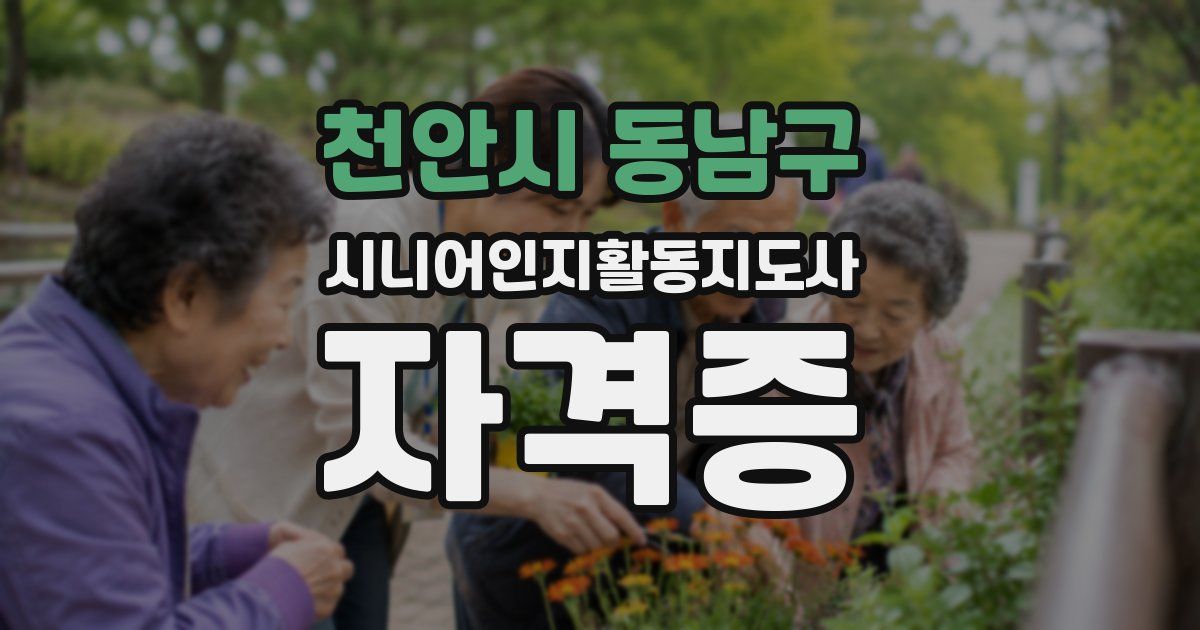 천안시 동남구 시니어인지활동지도사 자격증