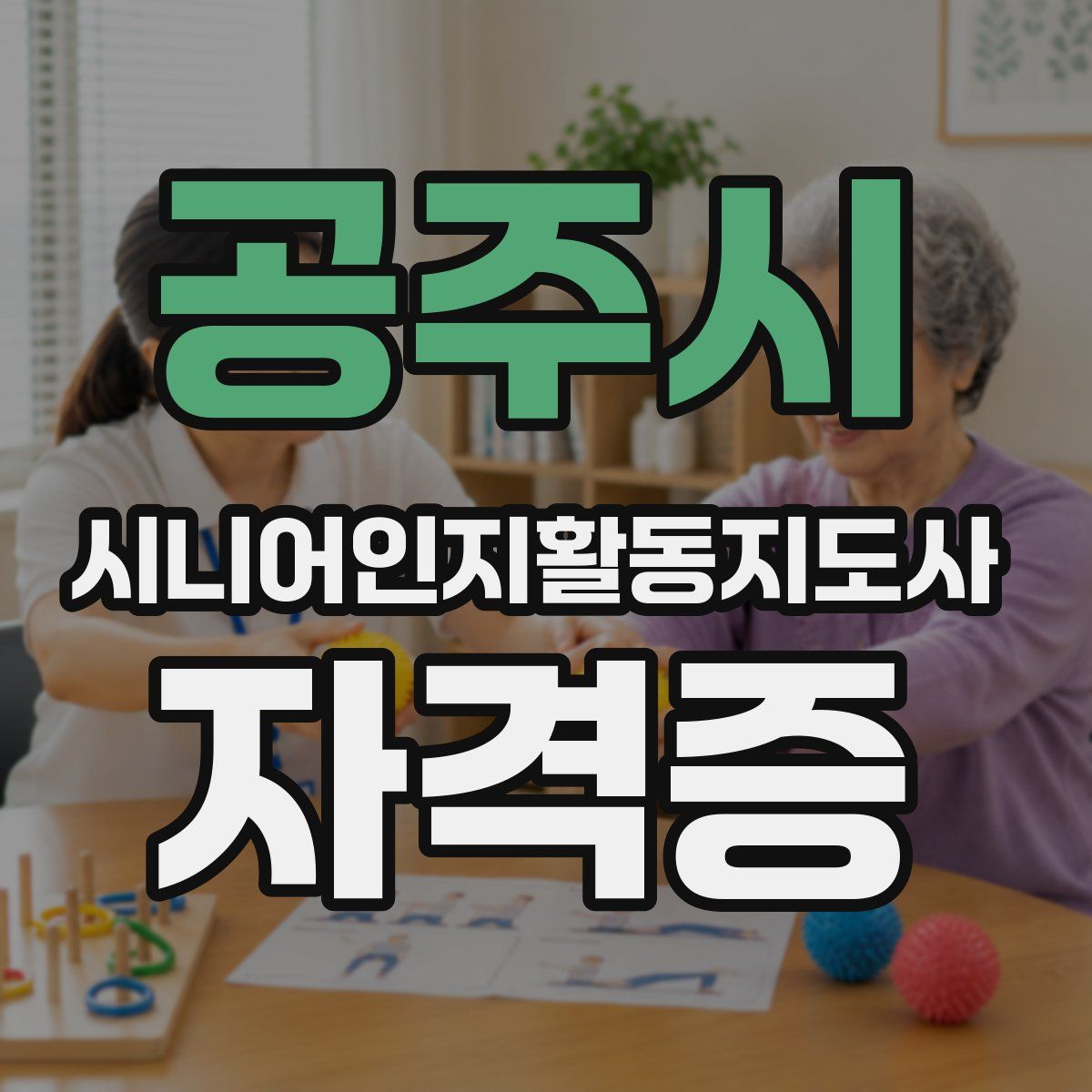 공주시 시니어인지활동지도사 자격증