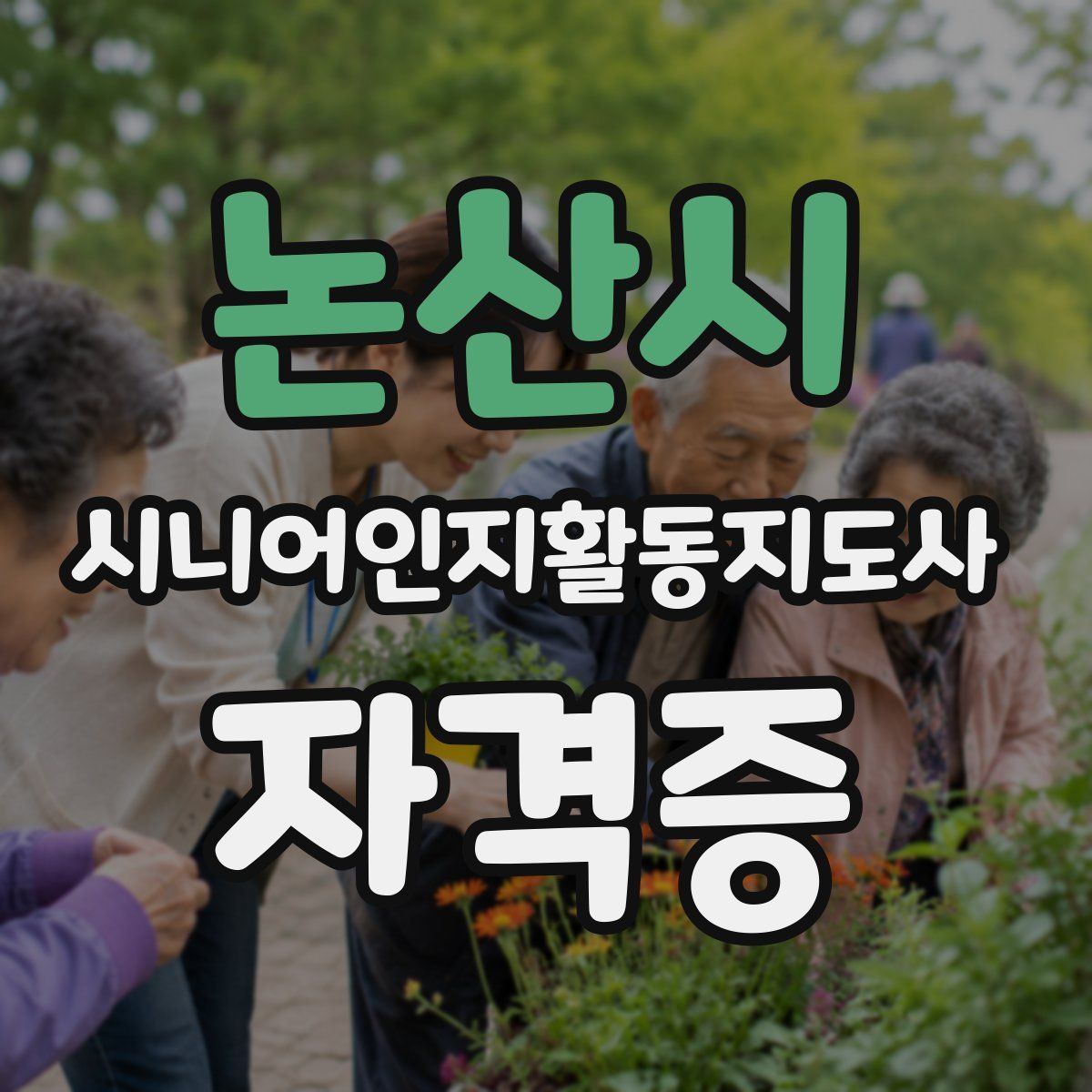 논산시 시니어인지활동지도사 자격증