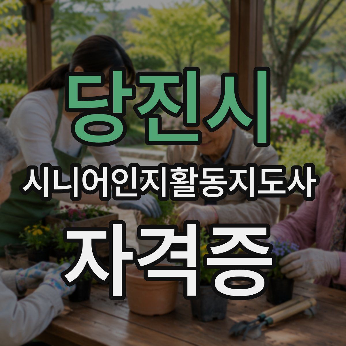 당진시 시니어인지활동지도사 자격증