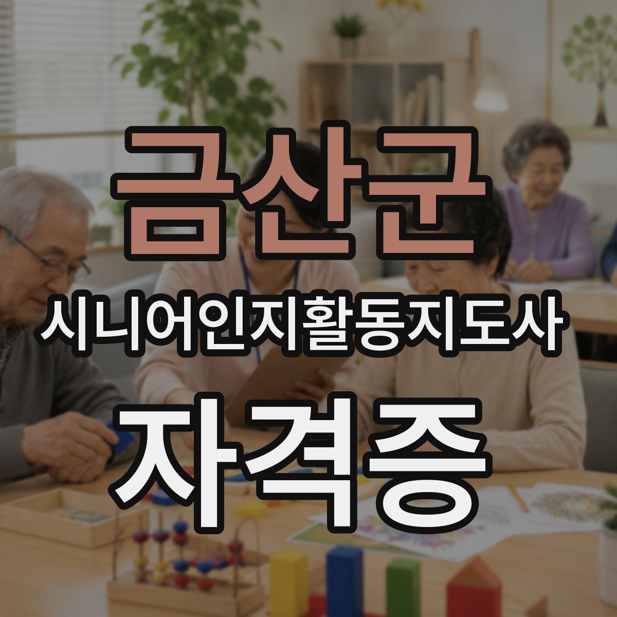금산군 시니어인지활동지도사 자격증