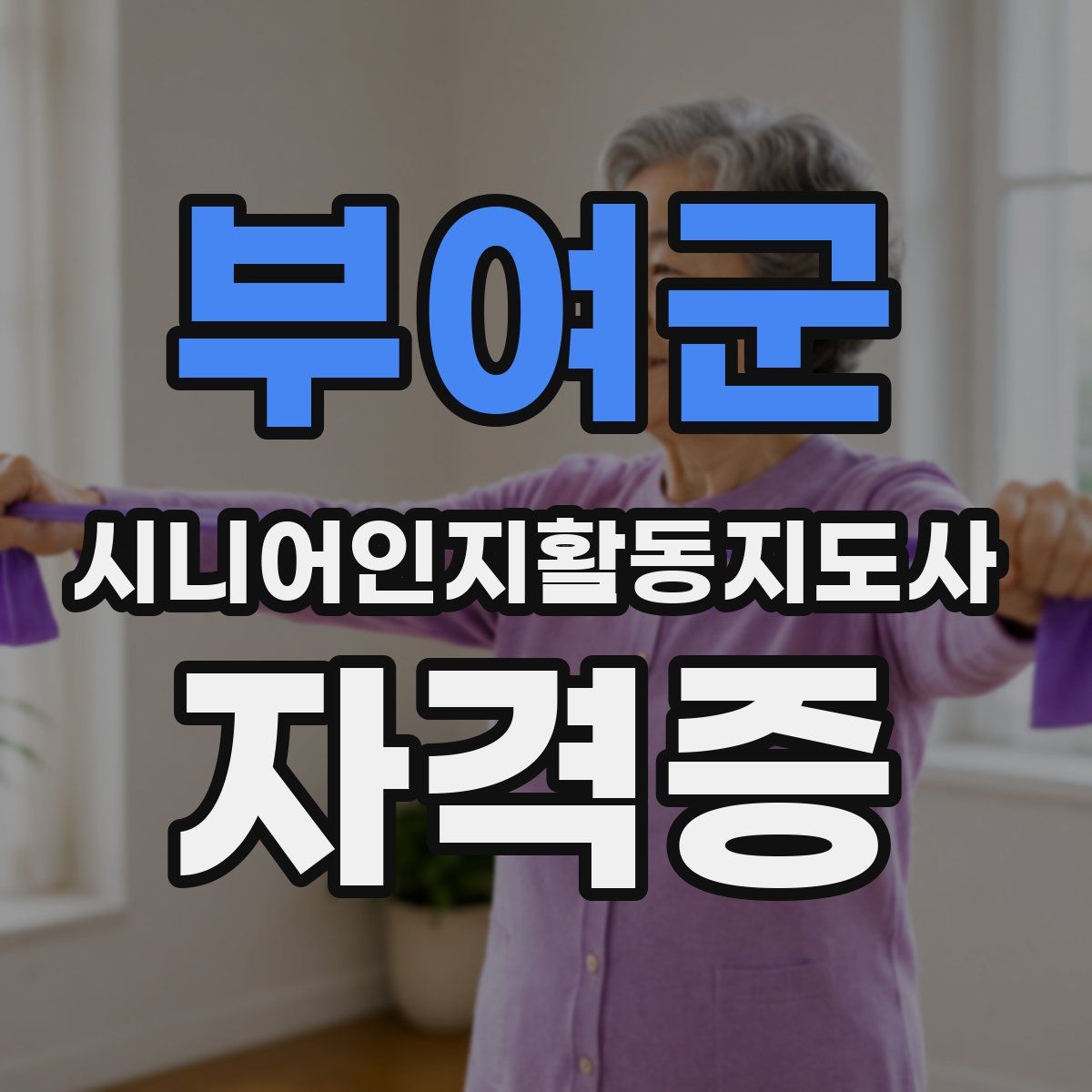 부여군 시니어인지활동지도사 자격증