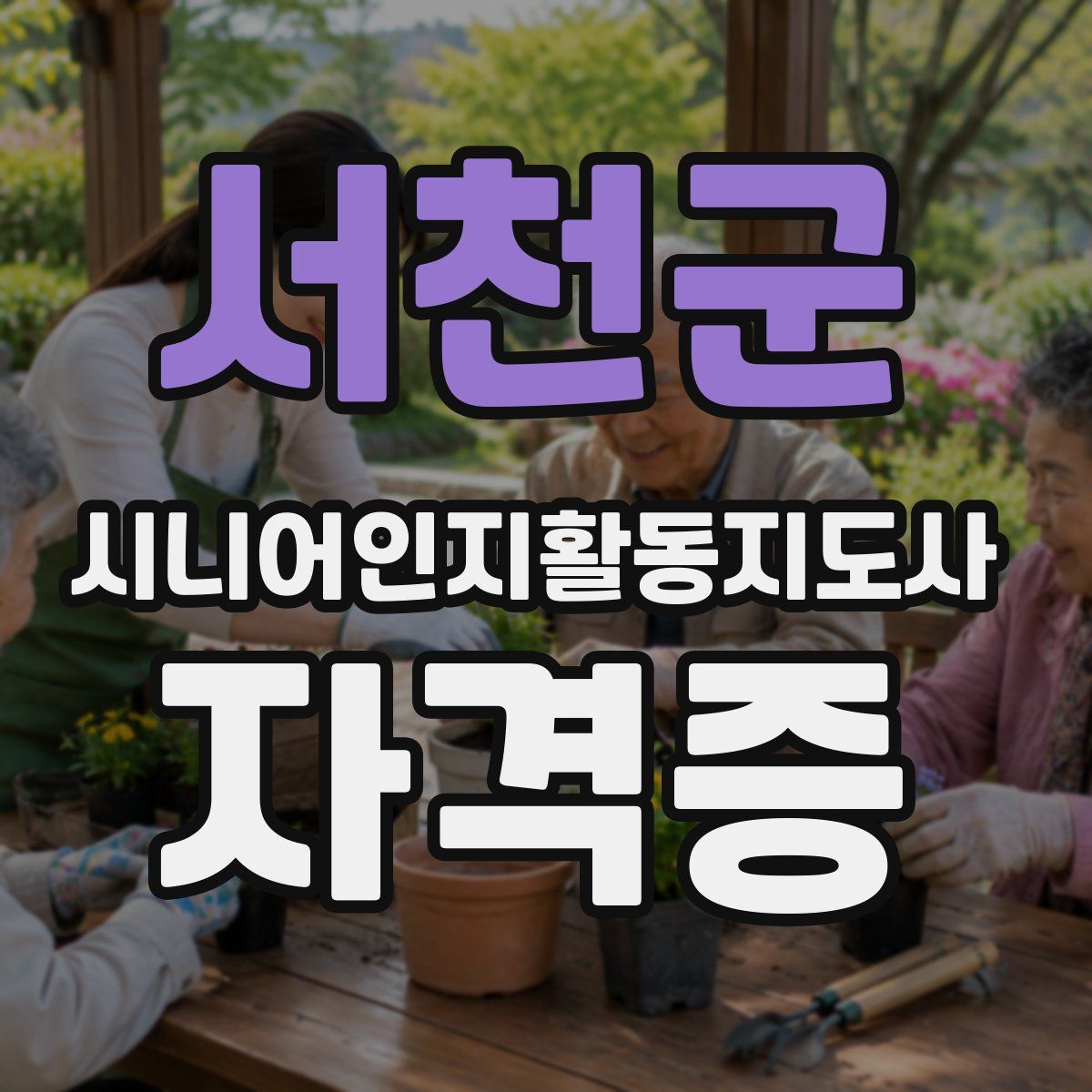 서천군 시니어인지활동지도사 자격증