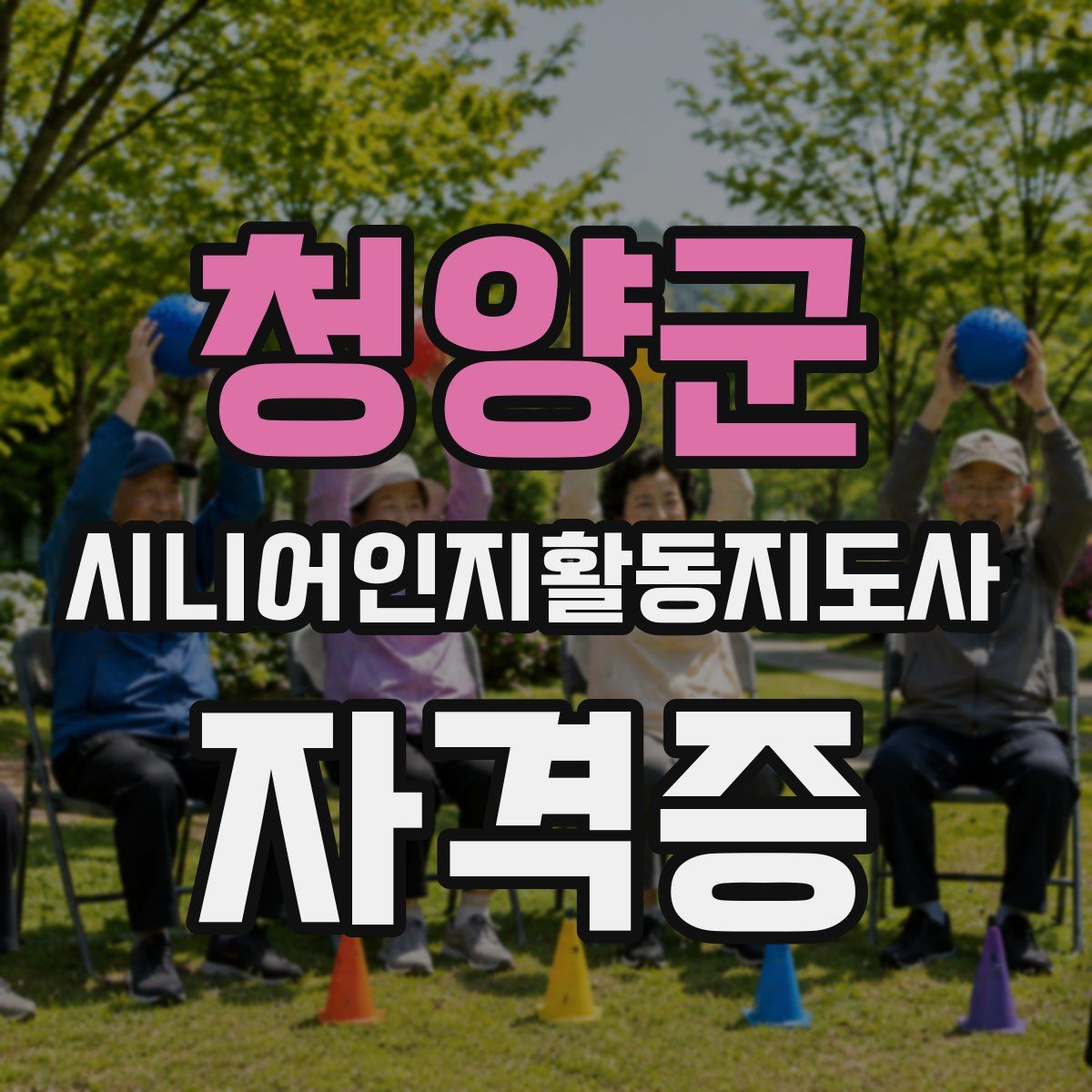 청양군 시니어인지활동지도사 자격증