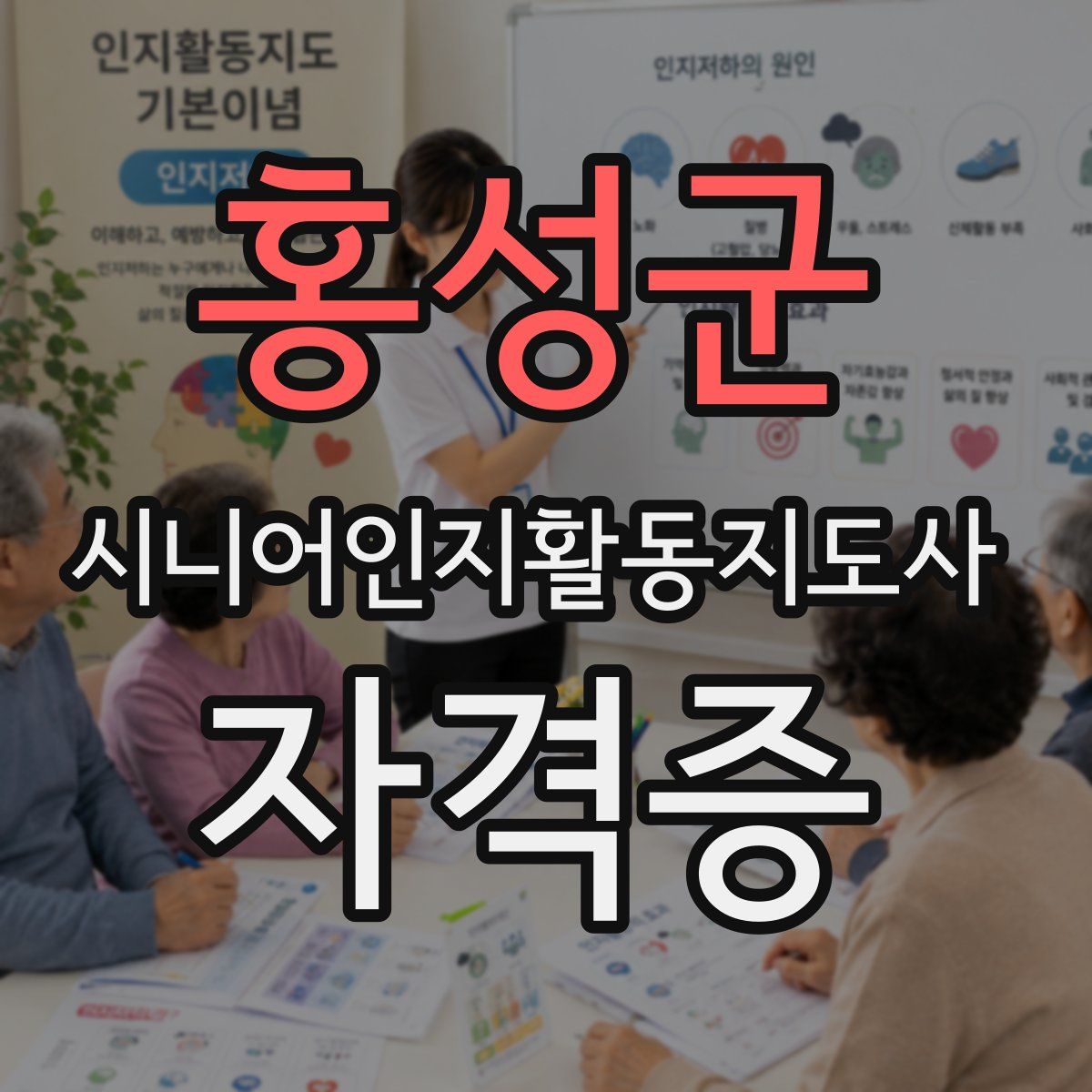 홍성군 시니어인지활동지도사 자격증