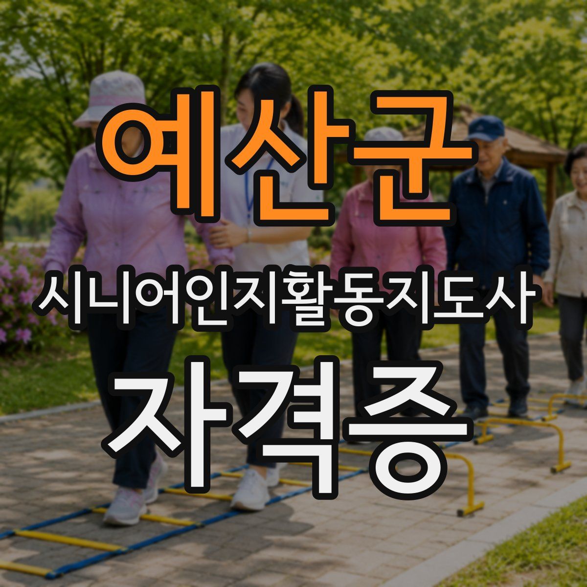 예산군 시니어인지활동지도사 자격증