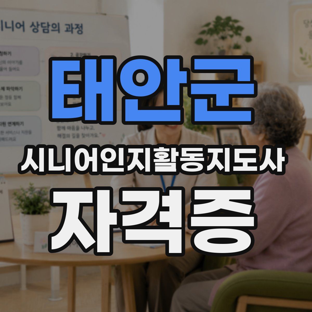 태안군 시니어인지활동지도사 자격증