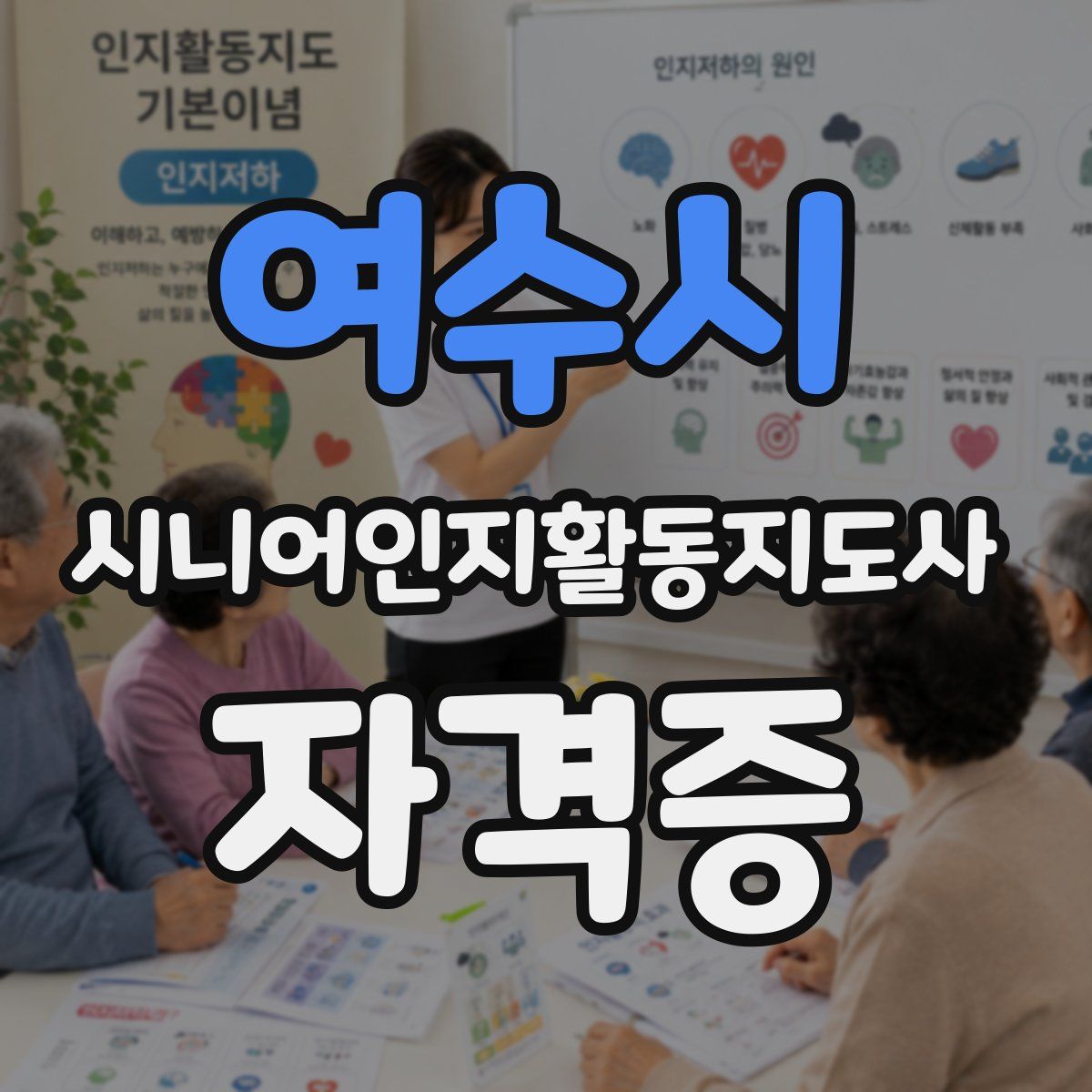 여수시 시니어인지활동지도사 자격증