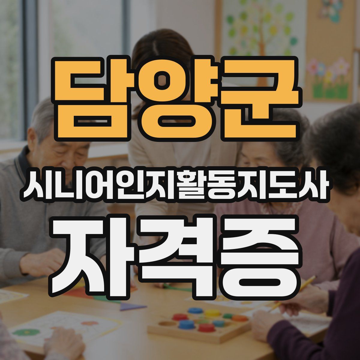 담양군 시니어인지활동지도사 자격증