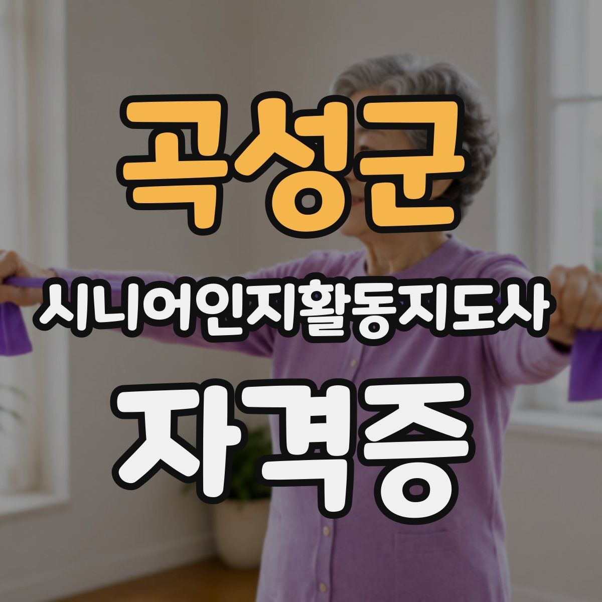 곡성군 시니어인지활동지도사 자격증