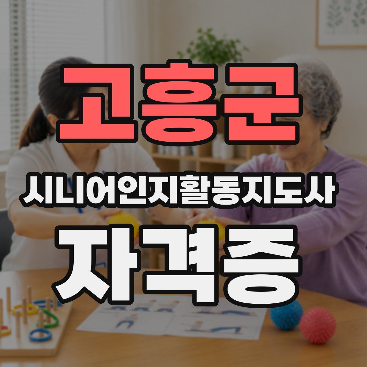 고흥군 시니어인지활동지도사 자격증